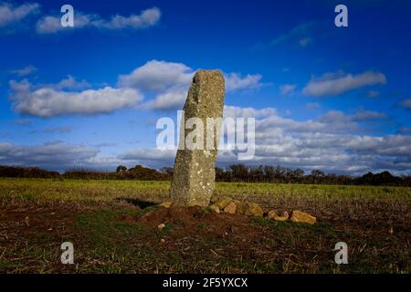 Sting Stone (Boskawen-Ros) nel mezzo di un campo (Grid Ref SW 42814 23894) vicino a St Buryan, Cornovaglia, Regno Unito. Foto Stock