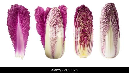 nappa viola su bianco. Viola cavolo cinese isolato su sfondo bianco. Set di cavolo cinese (foglia, testa di cavolo e metà). Napa rosso con Foto Stock