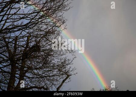 arcobaleno sulla città di Wetter sul fiume Ruhr, Nord Reno-Westfalia, Germania. Regenbogen ueber Wetter an der Ruhr, Nordrhein-Westfalen, Deutsch Foto Stock