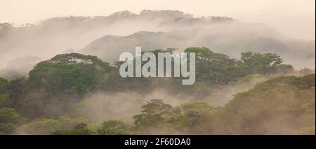 Paesaggio di Panama con vista panoramica della lussureggiante e misteriosa foresta pluviale del parco nazionale di Soberania alla luce del mattino presto, Repubblica di Panama. Foto Stock
