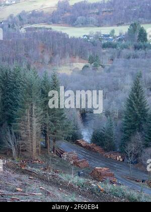 Attività forestali nelle Highlands scozzesi. Glen Urquhart, Highland, Scozia Foto Stock