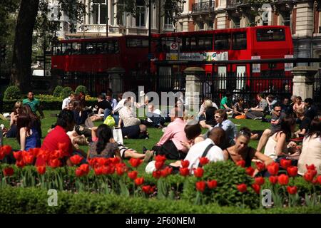 21 aprile 2011. Londra, Inghilterra. I londinesi godono del sole primaverile nei Grosvenor Gardens vicino alla stazione Victoria. Foto copyright ©; Charlie Varley/varl Foto Stock