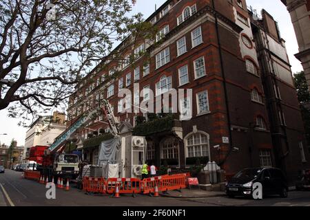 21 aprile 2011. Londra, Inghilterra. Il Goring Hotel ottiene un lifting prima della famiglia Middleton che soggiorna nella corsa fino al matrimonio reale vicino bucking Foto Stock