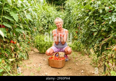 Giovane donna seduta con i pomodori biologici nel cesto raccolto nell'orto. Foto Stock