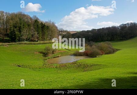 Stagno in piccola valle, Great Givendale, East Yorkshire, Inghilterra UK Foto Stock