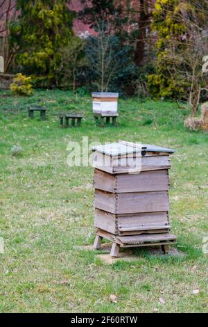 Tradizionali alveari in legno WBC in piedi all'aperto su erba in Howard's Field, RHS Garden Wisley, Surrey, Inghilterra sud-orientale in primavera Foto Stock