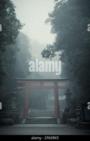 Il deserto Kasuga Taisha Grand Shrine a Nara, Kansai, Giappone in una fredda e maledetto mattina Foto Stock