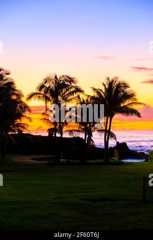 Le palme si stagliano contro il bagliore arancione al tramonto sulla riva di Hanga Roa, la città principale dell'isola di Pasqua (Rapa Nui), Cile Foto Stock