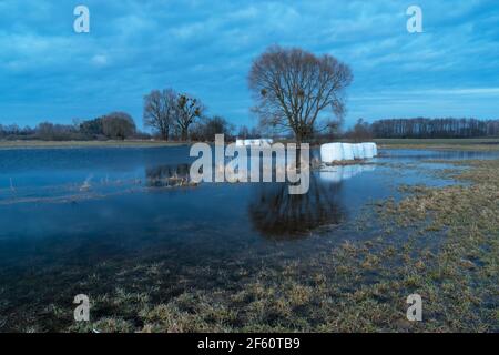 Acqua sul prato, alberi e cielo nuvoloso Foto Stock