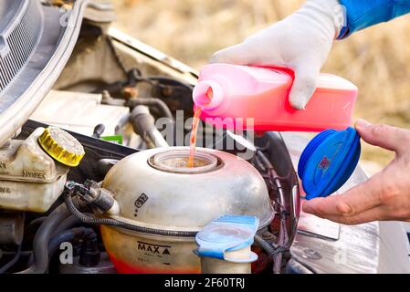 Erogazione del liquido di raffreddamento manutenzione delle vetture. Erogazione di antigelo. Il meccanico riempie il liquido di raffreddamento G12 nel serbatoio del motore Foto Stock