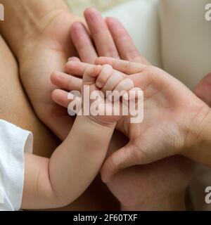 Mani della famiglia - bambino, figlio, madre e padre. Concetto di famiglia, unità, protezione, sostegno e felicità. Foto Stock