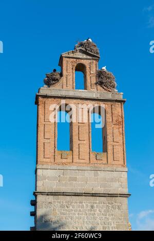 Cicogna nidifica su un campanile vuoto. Avila, Spagna. Foto Stock