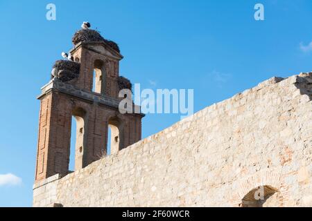 Cicogna nidifica su un campanile vuoto. Avila, Spagna. Foto Stock