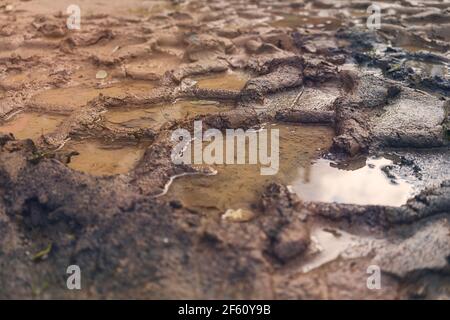 primo piano dei cingoli degli pneumatici nel fango Foto Stock