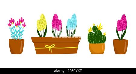 Insieme di fiori e piante di casa diversi, Cactus, Hyacinthus, e altri, bella primavera fiori in vasi marroni, regalo per la Festa della Donna, vettore Illustrazione Vettoriale