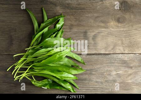 Aglio selvatico commestibile, rasmi o foglie di Allium ursinum appena raccolte in boschi locali e disposte su un tavolo da cucina Foto Stock
