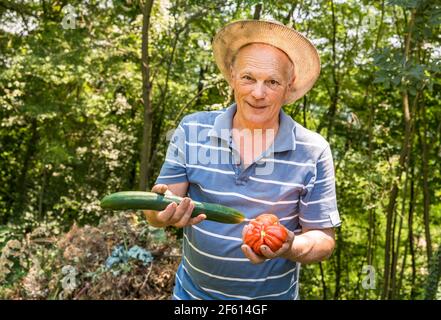 Uomo anziano con cetriolo biologico e pomodori raccolti nell'orto. Foto Stock