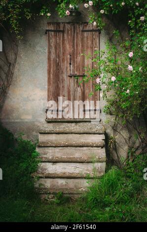 Gradini di una scala che conduce ad una porta chiusa in legno molto vecchia circondata da erba verde, foglie, edera e rose su un muro di pietra grigia Foto Stock