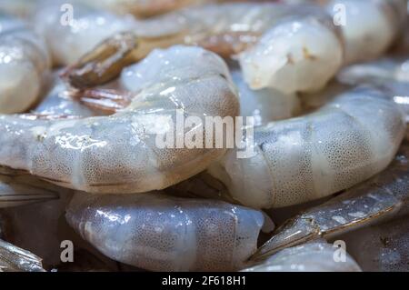Gamberetto crudo. Astratto cibo di fondo. Primo piano. Foto Stock