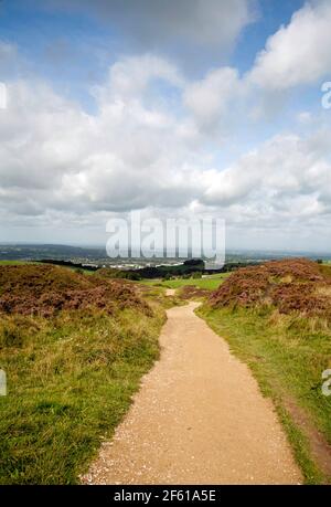 Sentiero attraverso il Tegg's Nose Country Park Macclesfield Cheshire England Foto Stock