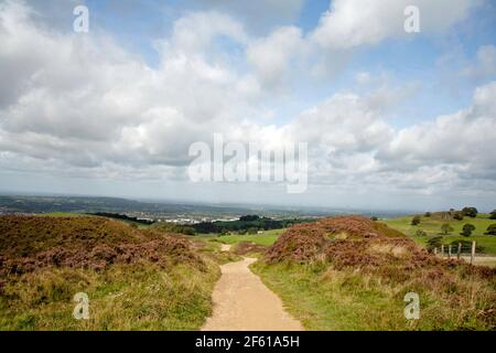 Sentiero attraverso il Tegg's Nose Country Park Macclesfield Cheshire England Foto Stock