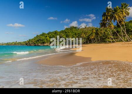 Spiaggia di Las Galeras, Repubblica Dominicana Foto Stock