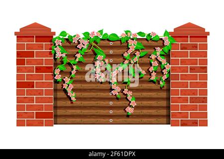 Ramo in fiore con fiori e foglie verdi su recinto di legno isolato su sfondo bianco. Barriera di legno con pilastri di mattoni. Illustrazione vettoriale Illustrazione Vettoriale