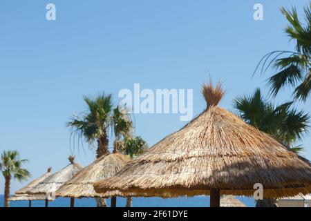 Grandi ombrelloni di paglia con palme sulla spiaggia contro il mare e il cielo Foto Stock