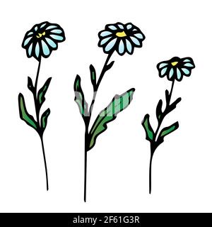 Bel fiore, ramoscello primavera con foglie, oggetto vettoriale floreale in stile doodle, fiori disegno a mano, isolare su uno sfondo bianco. Illustrazione Vettoriale