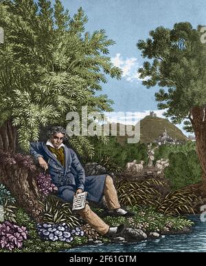 Ludwig van Beethoven, del compositore tedesco Foto Stock