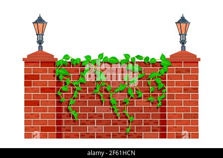 Recinzione con impianto di arrampicata. Lianas o edera su recinto o muro di mattoni rossi. Parco cittadino o giardino muratura barriera con lanterne di strada e foglie di erbe. Vettore Illustrazione Vettoriale