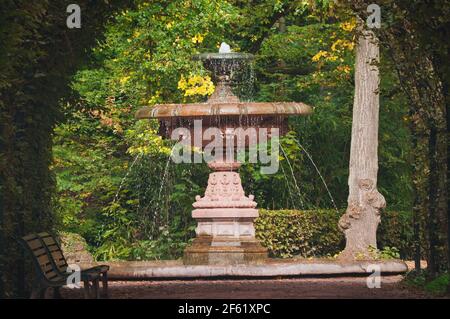 Immagini del giardino d'autunno Foto Stock