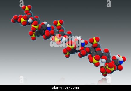Eparina, modello molecolare Foto Stock