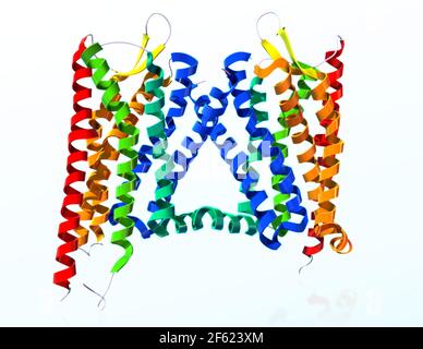 Recettore oppioide Kappa, modello molecolare Foto Stock