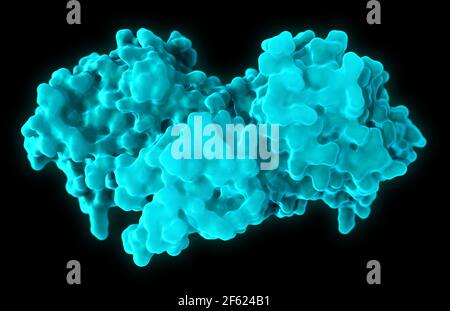 Proteina B-Raf, modello molecolare Foto Stock
