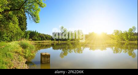 Stagno nella foresta. Paesaggio primaverile nella Repubblica Ceca. Foto Stock
