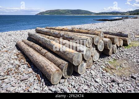 I registri di legno sulla spiaggia di ghiaia accanto al porto sul bordo di Exmoor a Porlock Weir, Somerset REGNO UNITO Foto Stock