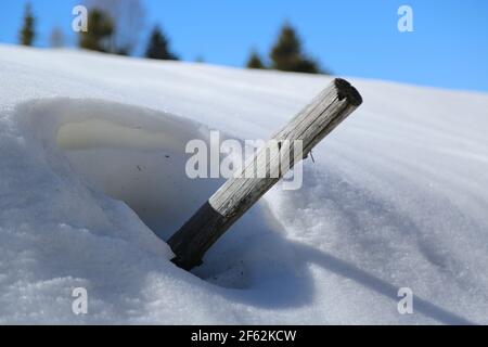 Un solo pezzo di legno nella neve Foto Stock