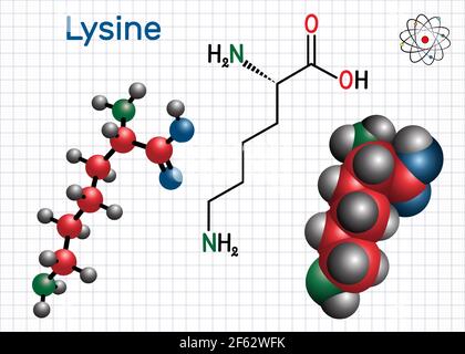 Molecola aminoacidica di lisina (L-lisina, Lys, K). È usato nella biosintesi delle proteine. Foglio di carta in gabbia. Formula chimica strutturale e. Illustrazione Vettoriale