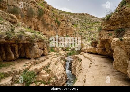 Acqua nel torrente Prat, sul bordo del deserto della Giudea, Israele, in primavera. Foto Stock