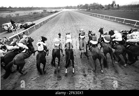 GARE LINGFIELD, L'INIZIO DEL GEORGE & DRAGON HANDICAP Foto Stock