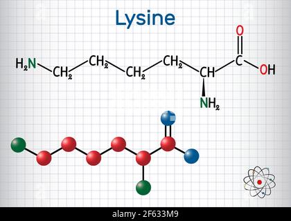 Molecola aminoacidica di lisina (L-lisina, Lys, K). È usato nella biosintesi delle proteine. Foglio di carta in gabbia. Formula chimica strutturale e. Illustrazione Vettoriale