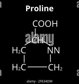 Aminoacido Proline. Formula molecolare chimica Proline amminoacido. Illustrazione vettoriale su sfondo isolato Illustrazione Vettoriale