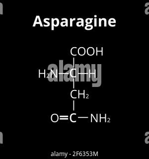 L'asparagina è un amminoacido. Formula chimica molecolare l'asparagina è amminoacido. Illustrazione vettoriale su sfondo isolato Illustrazione Vettoriale