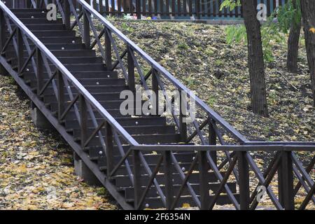 Foglie di autunno Foto Stock