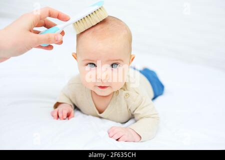 la mamma pettina il bambino con una speciale spazzola per capelli su sfondo bianco. Foto Stock