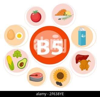 Set infografico di vitamina B5 e prodotti utili avocado, cavolfiore, uova, fagioli, mais, latte, fichi, funghi. Stile di vita sano e vettore di dieta Illustrazione Vettoriale