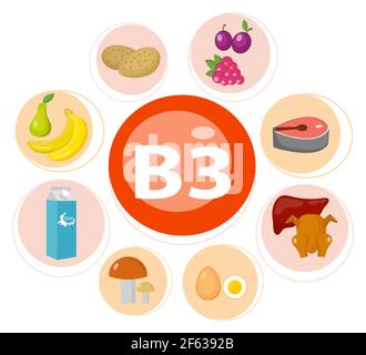 Vitamine e minerali alimenti .Vector insieme di alimenti ricchi di vitamina. Vitamina B3 carni, spinaci, pollame, pesce, fegato, funghi, patate e arachidi. Illustrazione Vettoriale