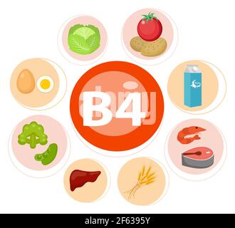 Infografica sulla nutrizione della vitamina B4 con le icone mediche e alimentari dieta, cibo sano e concetto di benessere. Illustrazione Vettoriale