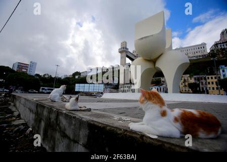 salvador, bahia / brasile - 11 giugno 2019: I gatti sono visti accanto alla scultura di Mario Cravo sulla Rampa do Mercado Modelo nella città di Salvador * Foto Stock